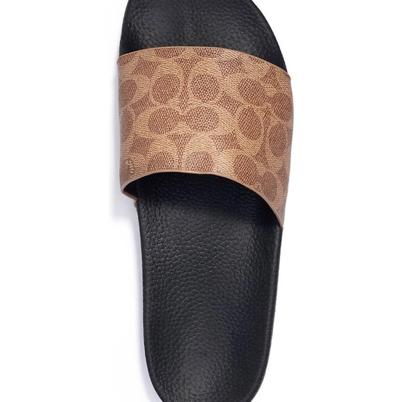 COACH SANDAL - Picture 3 of 3